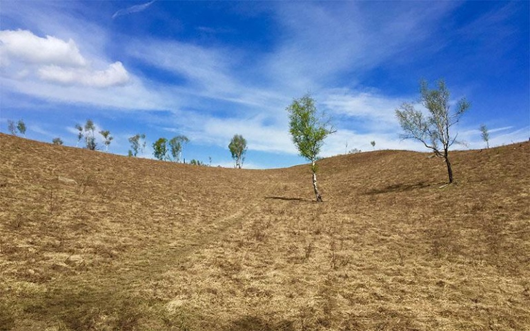 panorama la miniera